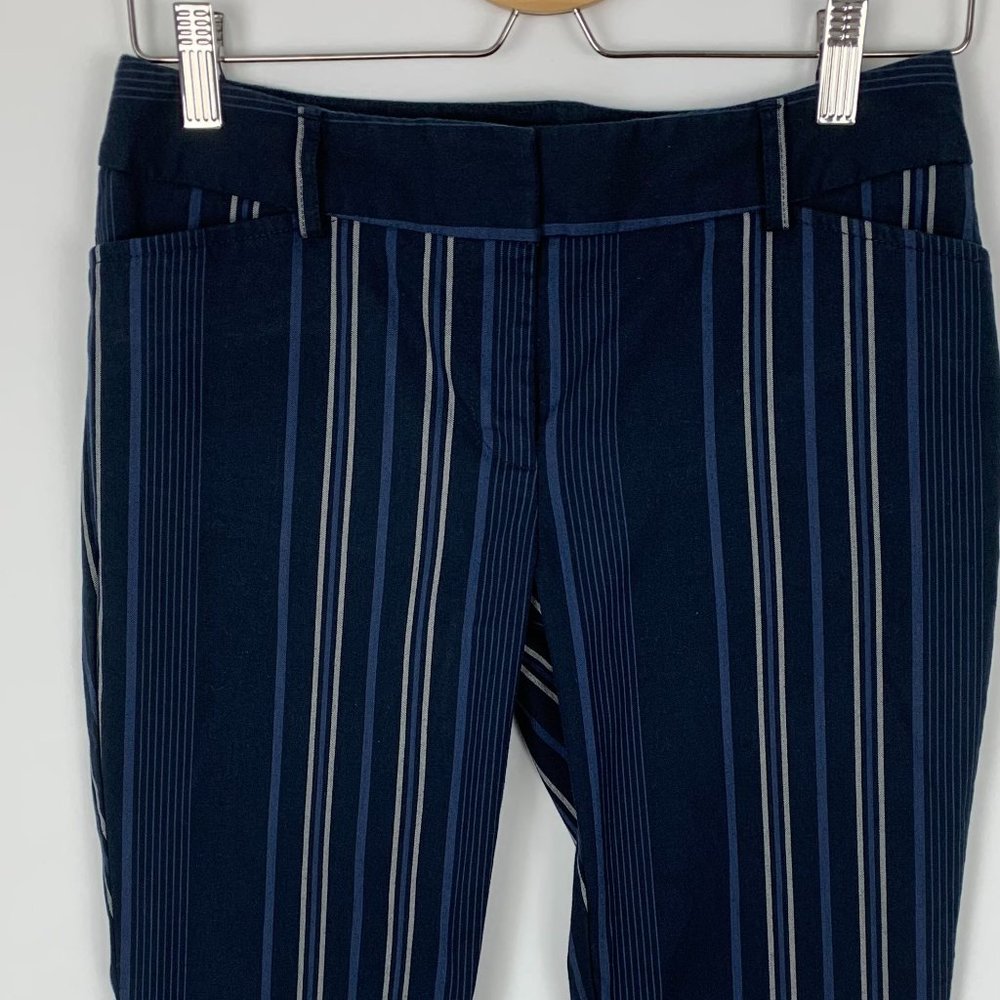 Ann Taylor Cropped Pants 2P